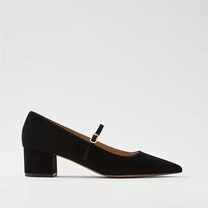 NEW Ann Taylor Suede Pointy Toe Block Heel